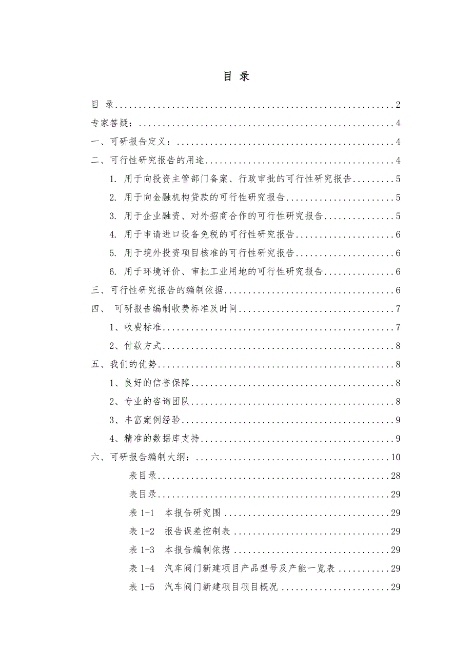 汽车阀门项目可行性实施计划书_第2页