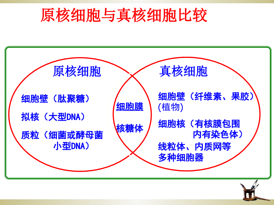 高中生物常见细胞有关知识汇总说课讲解_第2页