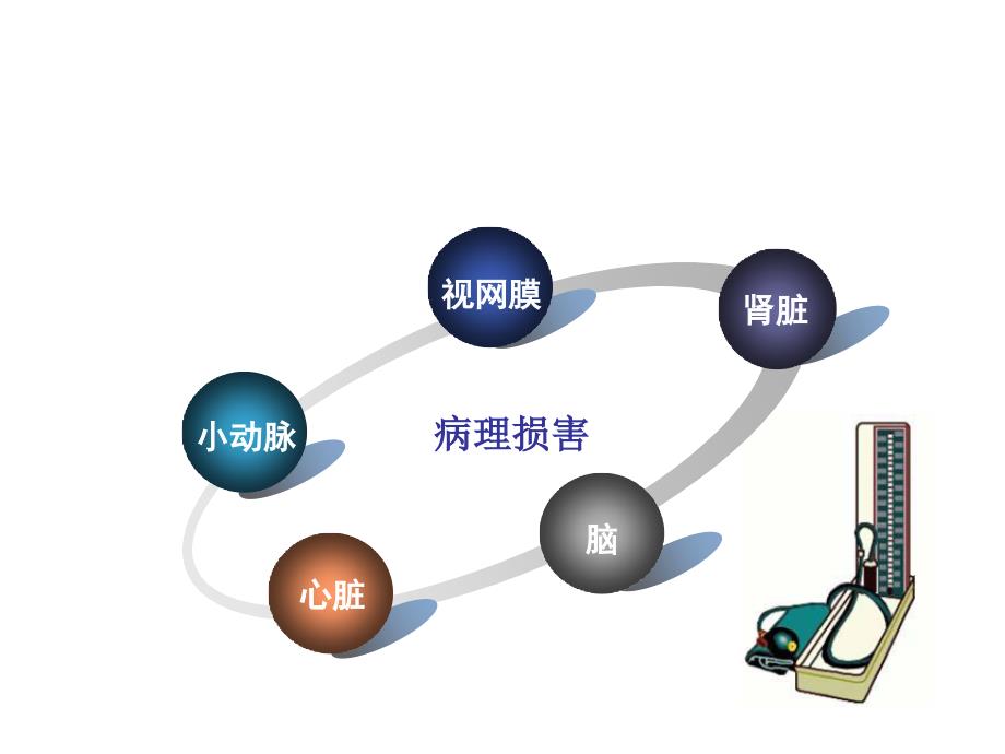 利尿剂湖南中西医结合学会PPT课件_第2页