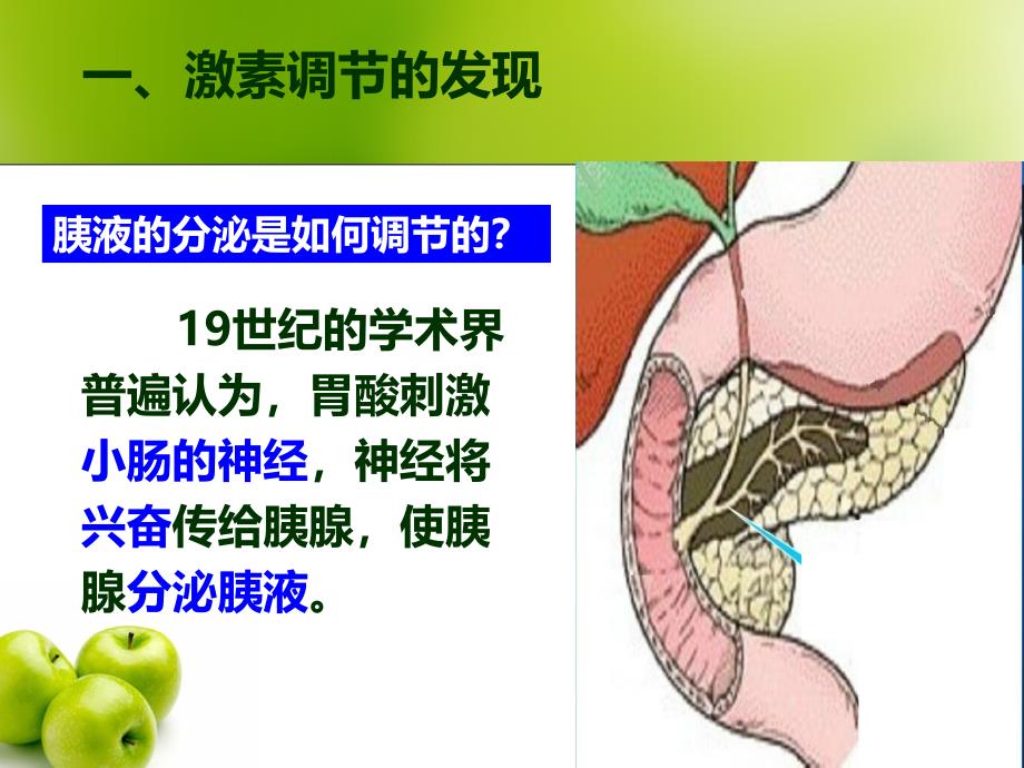 通过激素的调节(很实用)PPT教学课件_第2页