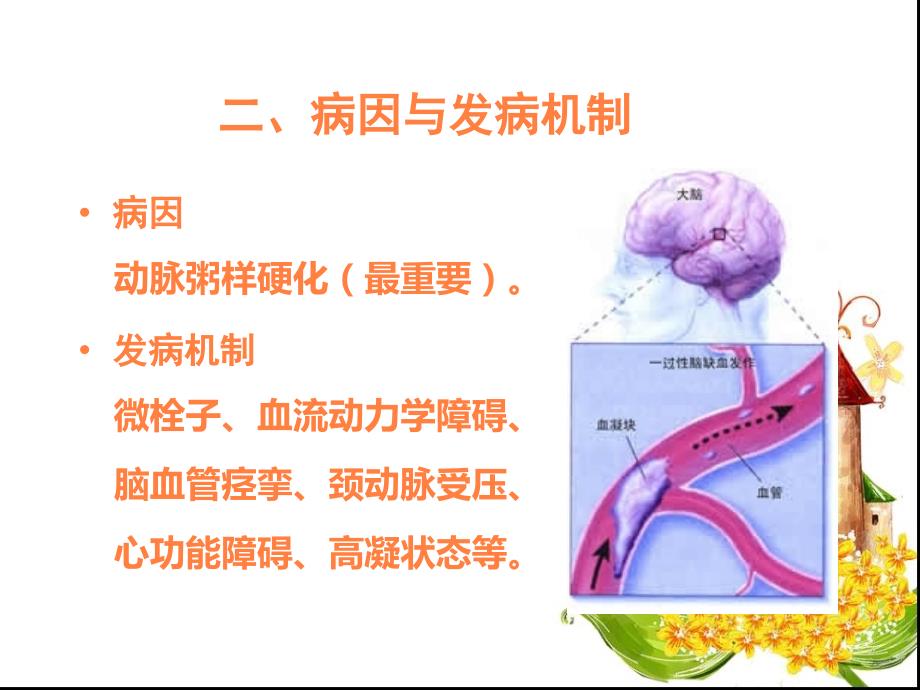 患者的护理PPT课件_第3页