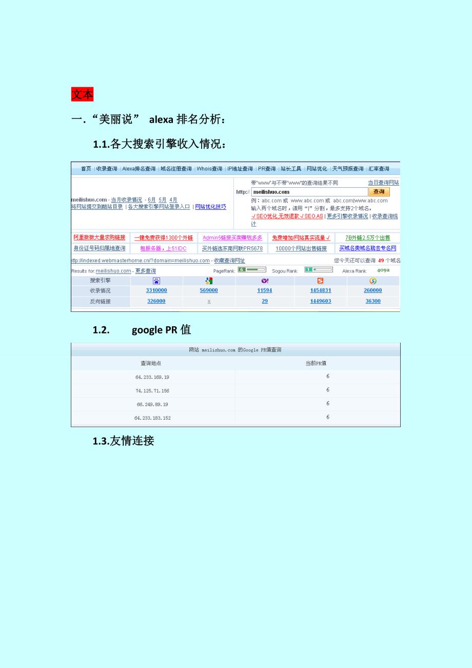 《精编》关于美丽说网站分析_第2页