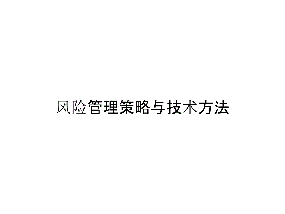 《精编》风险管理策略与技术方法_第1页