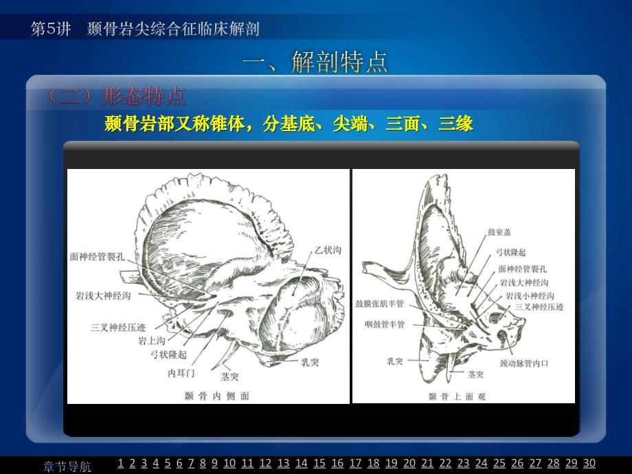 颞骨岩尖综合征临床解剖PPT课件_第4页