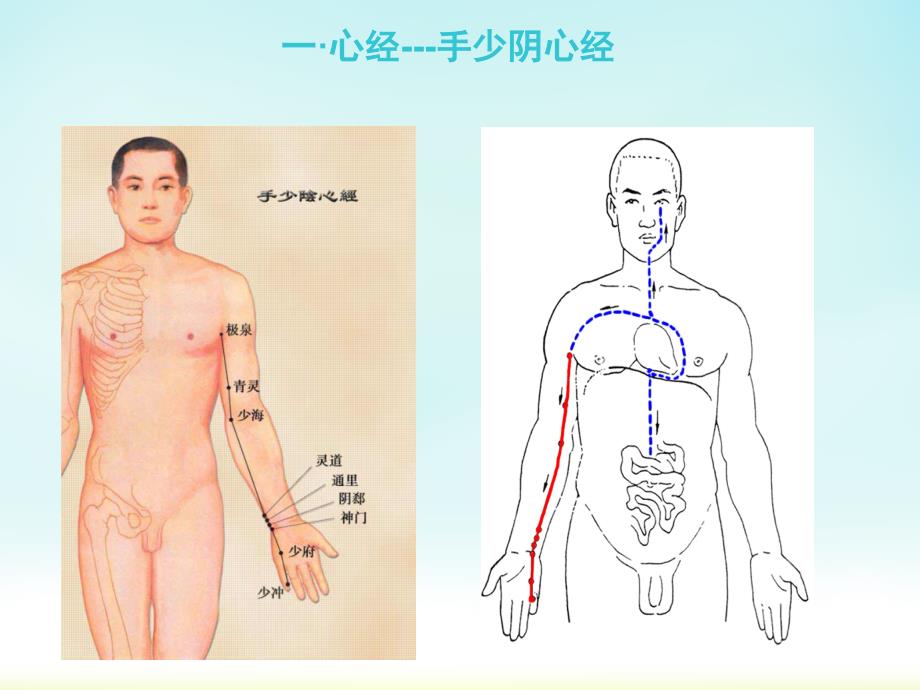 于七味之人体经络PPT课件_第2页