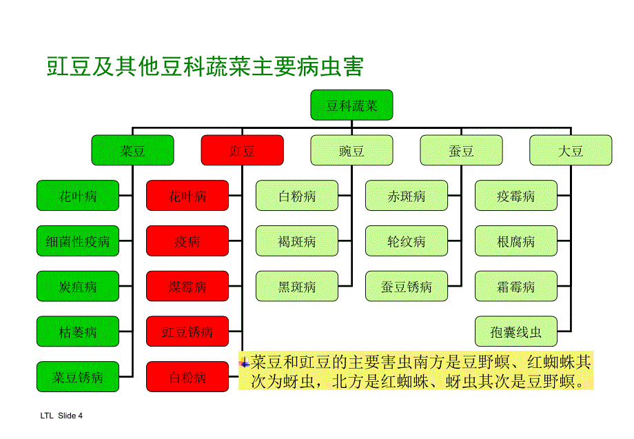 《精编》豇豆病虫防治技术专项培训资料_第4页