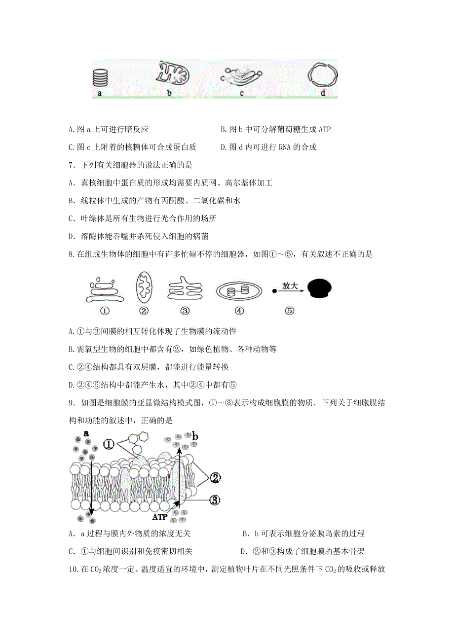 山西省阳泉市第二中学校2019-2020学年高一分班考试生物试卷Word版_第2页