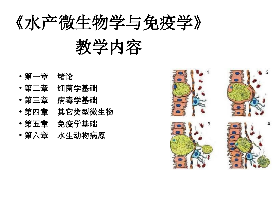 2020年整理5[1]（五月二十六）.水产微生物学与免疫学(免疫学基础).ppt_第2页