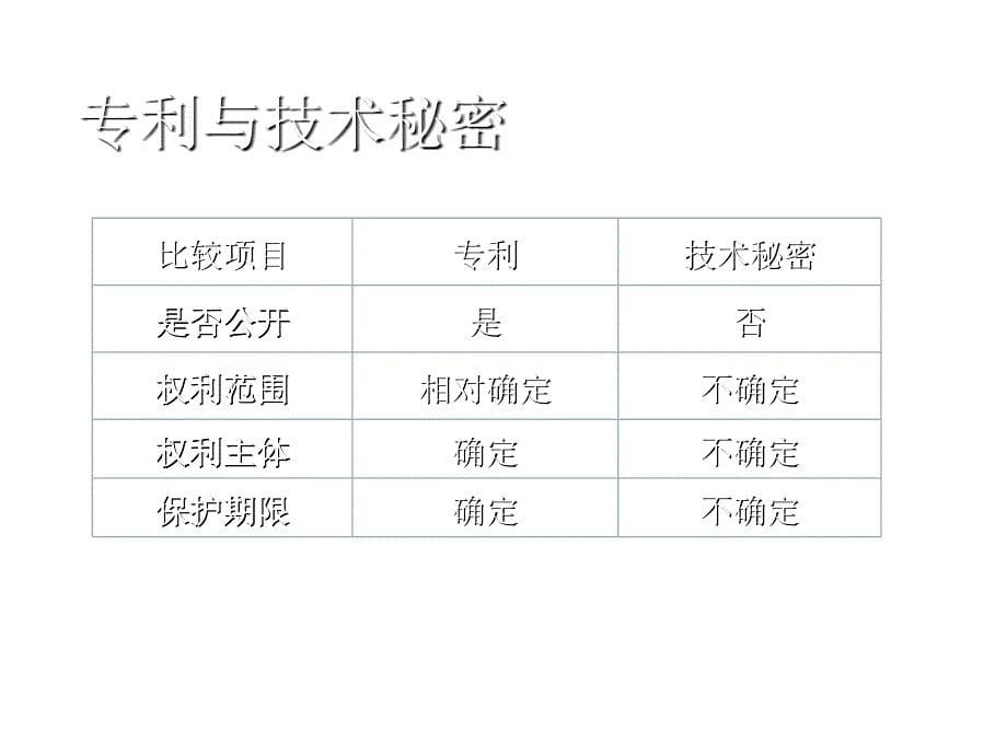 《精编》产品开发与专利保护综述_第5页