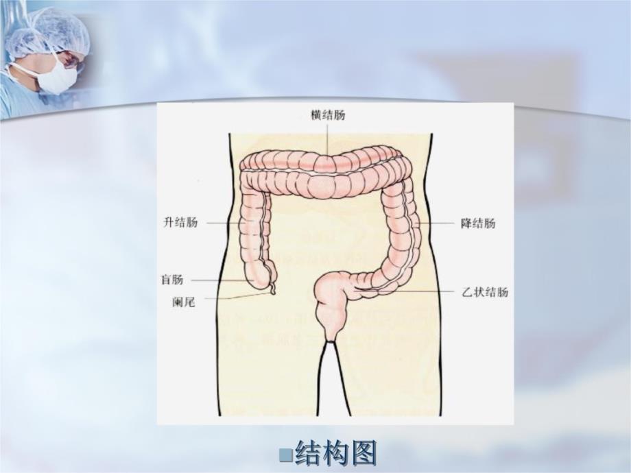 结直肠癌护理教学提纲_第3页