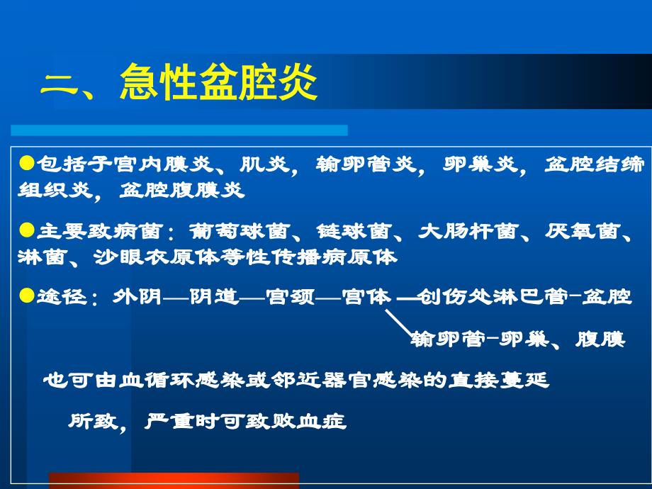 盆腔炎妇人腹痛PPT课件_第4页