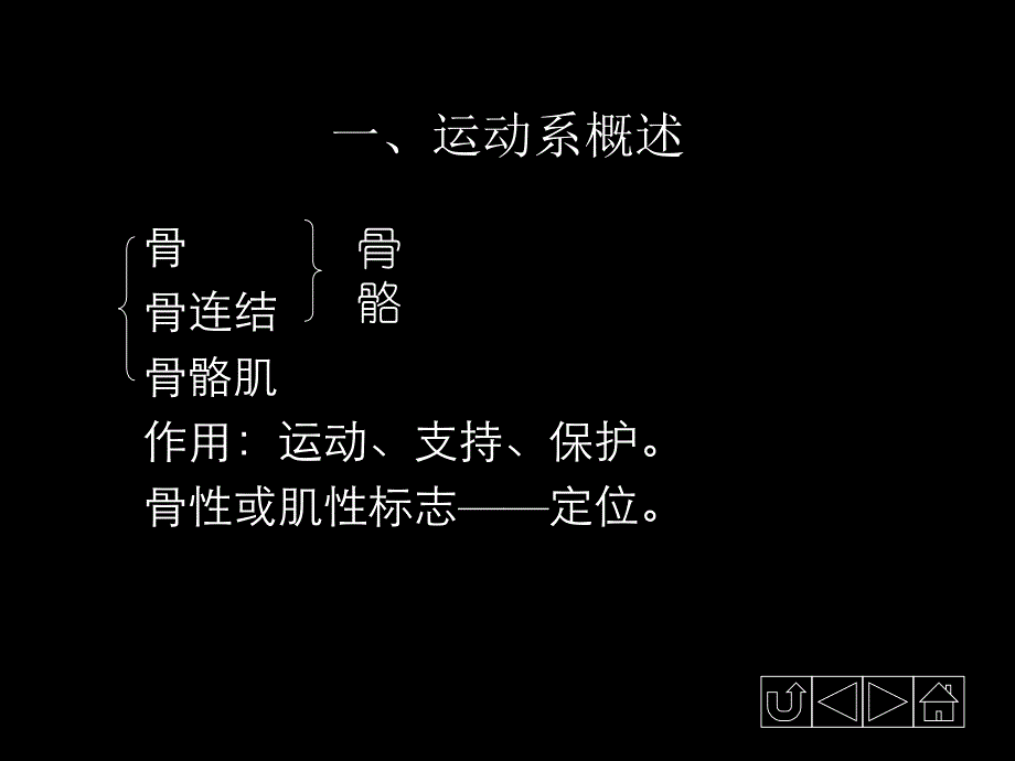 运动系统——骨学PPT课件_第2页