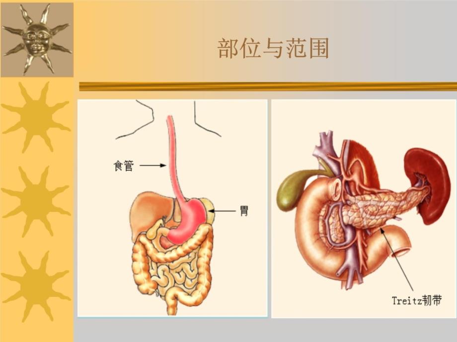 急性消化道大出血的监测及新进展知识讲解_第3页