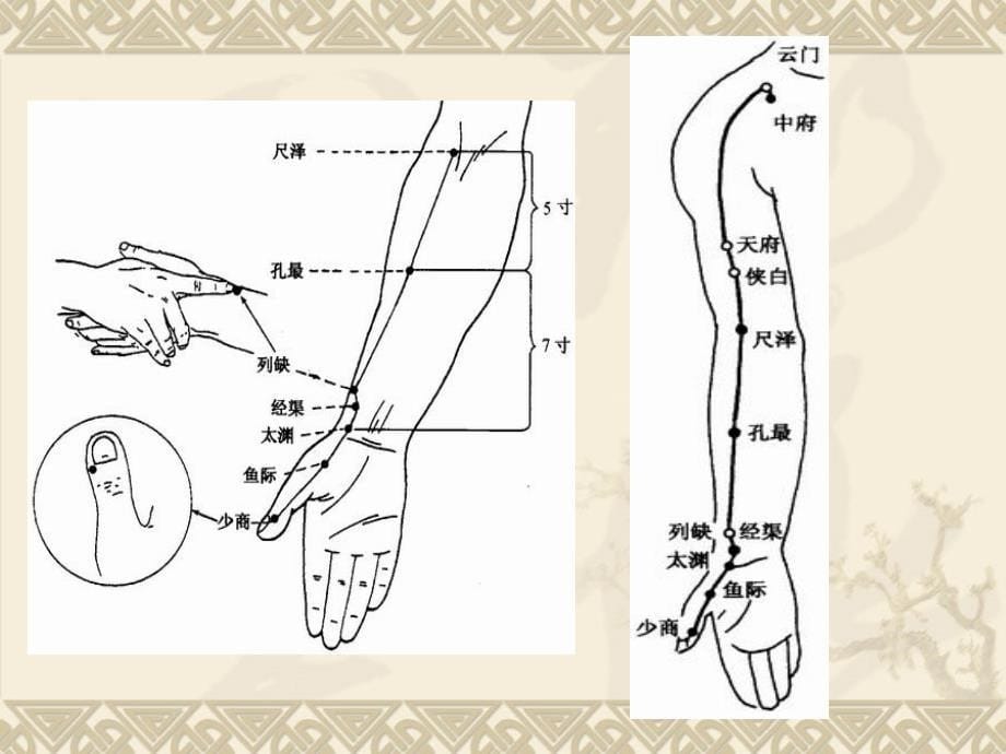 经络腧穴各论-手六经穴--针灸学课件(南京中医药大学)PPT课件_第5页