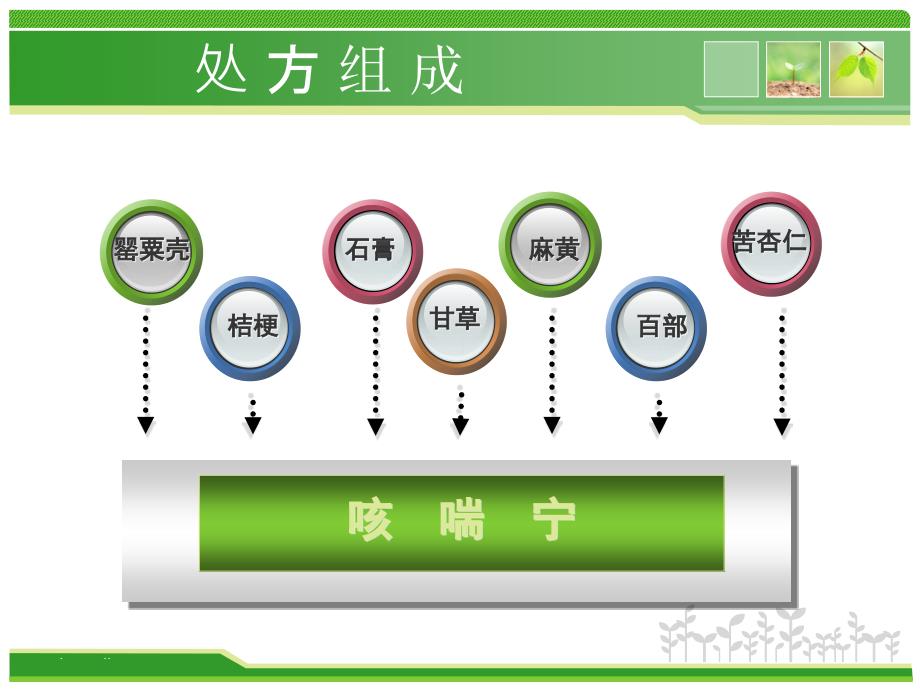 咳喘宁PPT课件_第2页