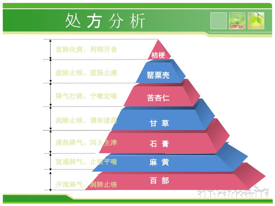 咳喘宁PPT课件_第3页