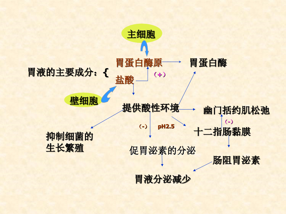 第五章消化药物PPT课件_第4页