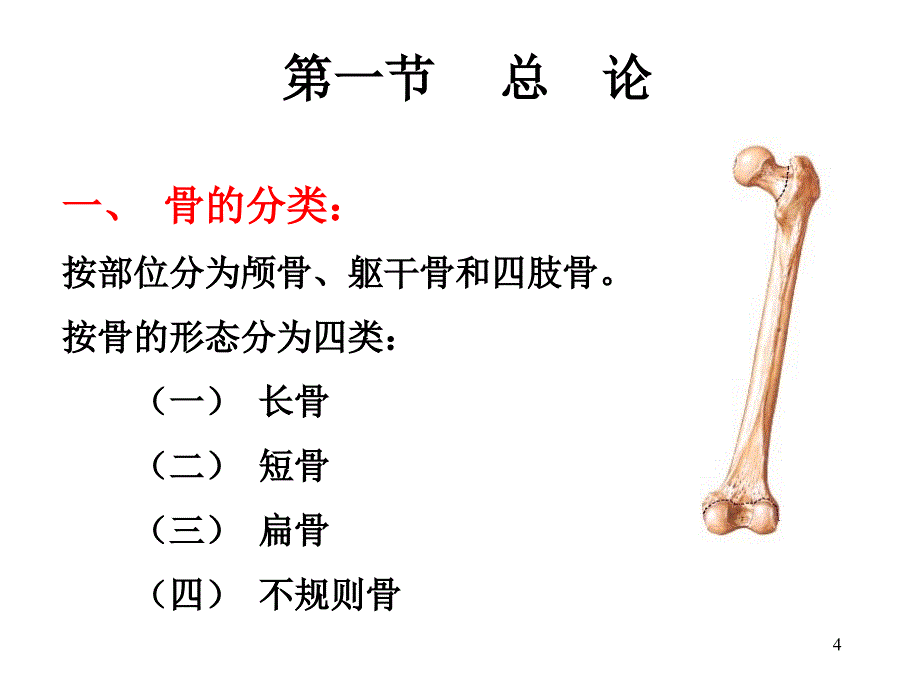 正常人体结构骨PPT课件_第4页