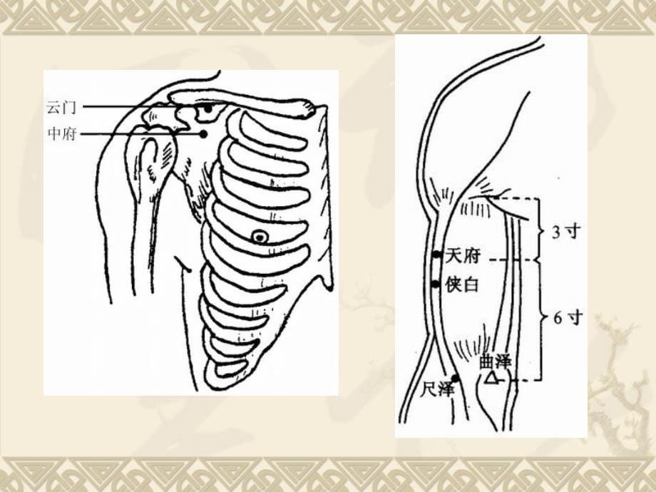 经络腧穴各论-手六经穴PPT课件_第5页