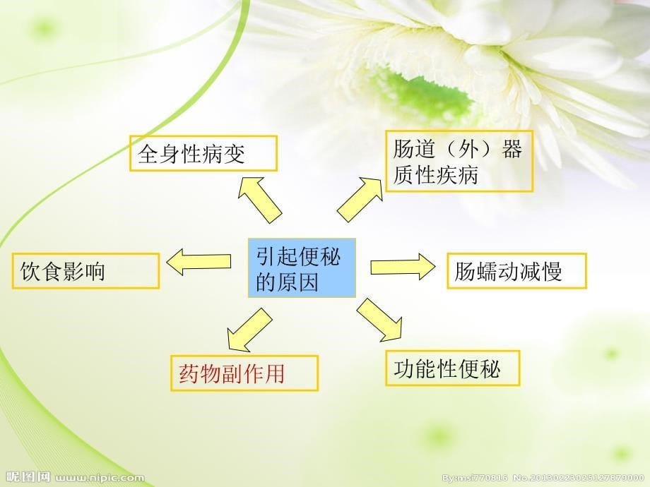 止痛药引起便秘的护理PPT课件_第5页