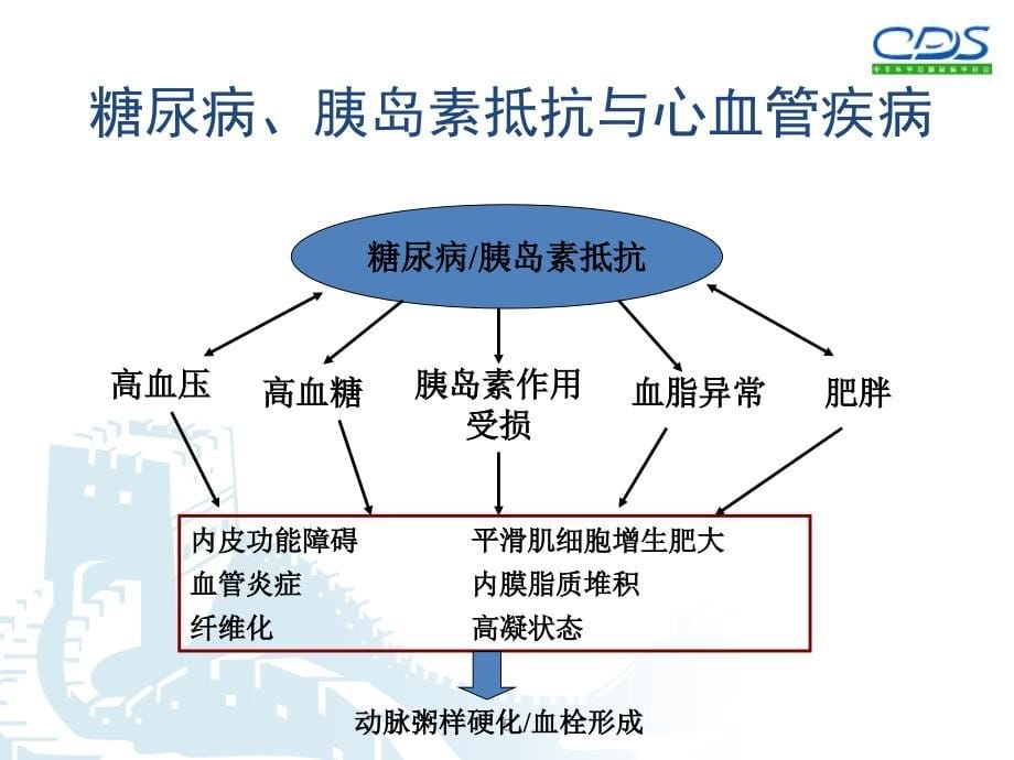 型糖尿病药物治疗中成药部分PPT课件_第5页