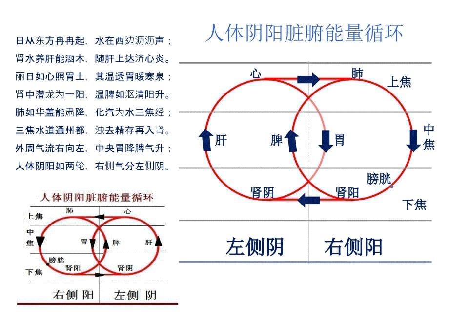 脐疗学习幻灯片PPT课件_第5页