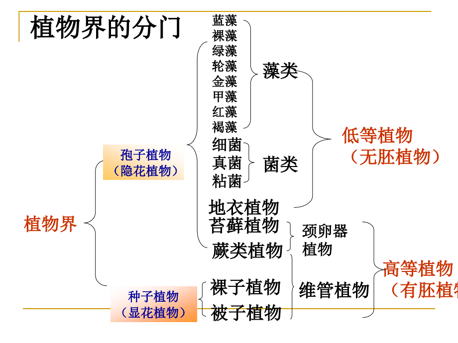 藻类菌类和地衣苔藓PPT课件_第4页