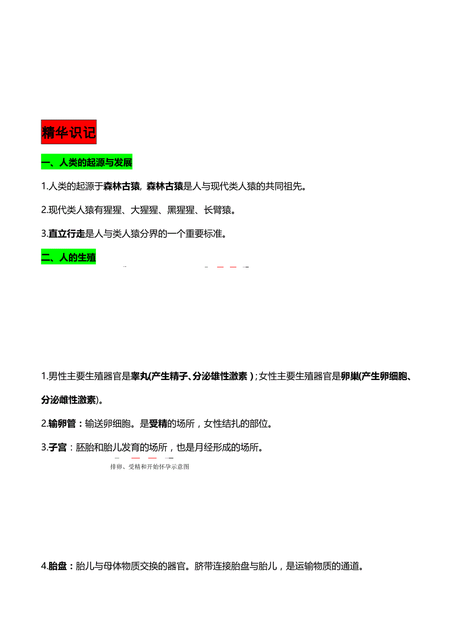 初一下册生物每章思维导图+精华知识(1).doc_第3页