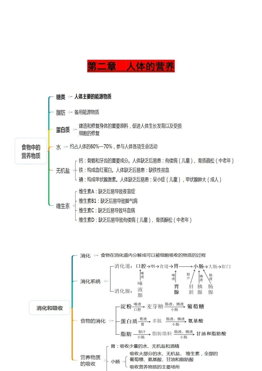 初一下册生物每章思维导图+精华知识(1).doc_第5页