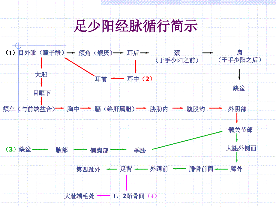 人体经络穴位图谱胆经PPT课件_第3页