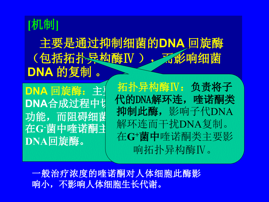 药理学PPT课件_第4页