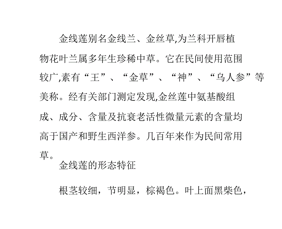 金线莲有什么功效和作用PPT课件_第1页