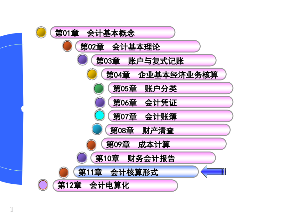 《精编》财务会计核算形式综述_第1页