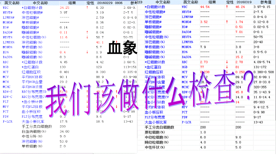 诊断学——骨髓细胞学检查PPT课件_第3页