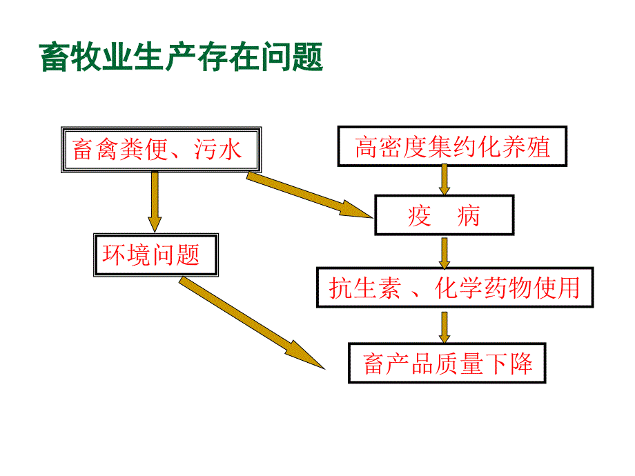 《精编》绿色食品的畜禽生产与水产养殖生产_第3页