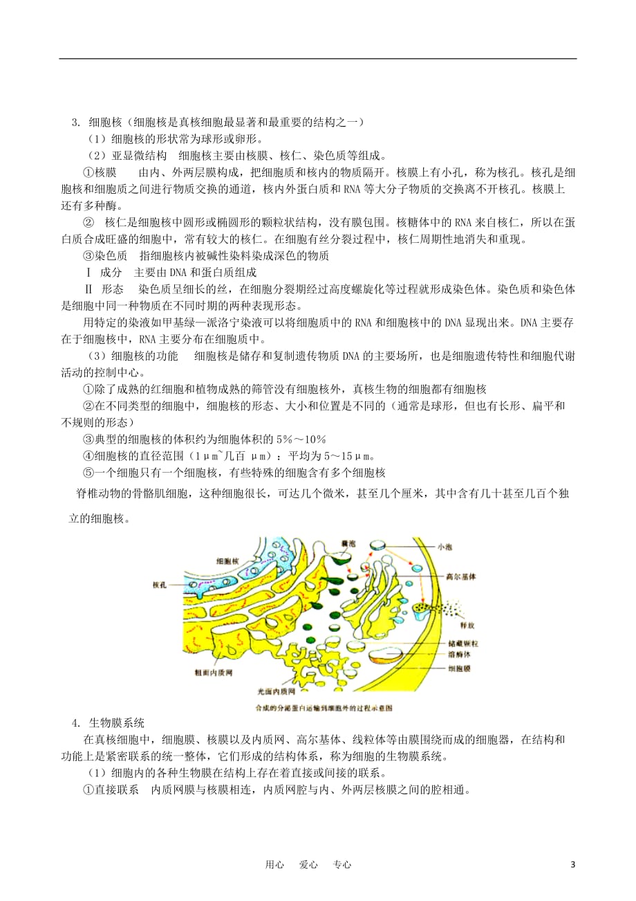 2011－2012学年高中生物 第三章 第二节 细胞的类型和结构（二）同步练习 苏教版必修1.doc_第3页