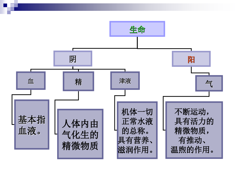 精气血津液学说PPT课件_第2页