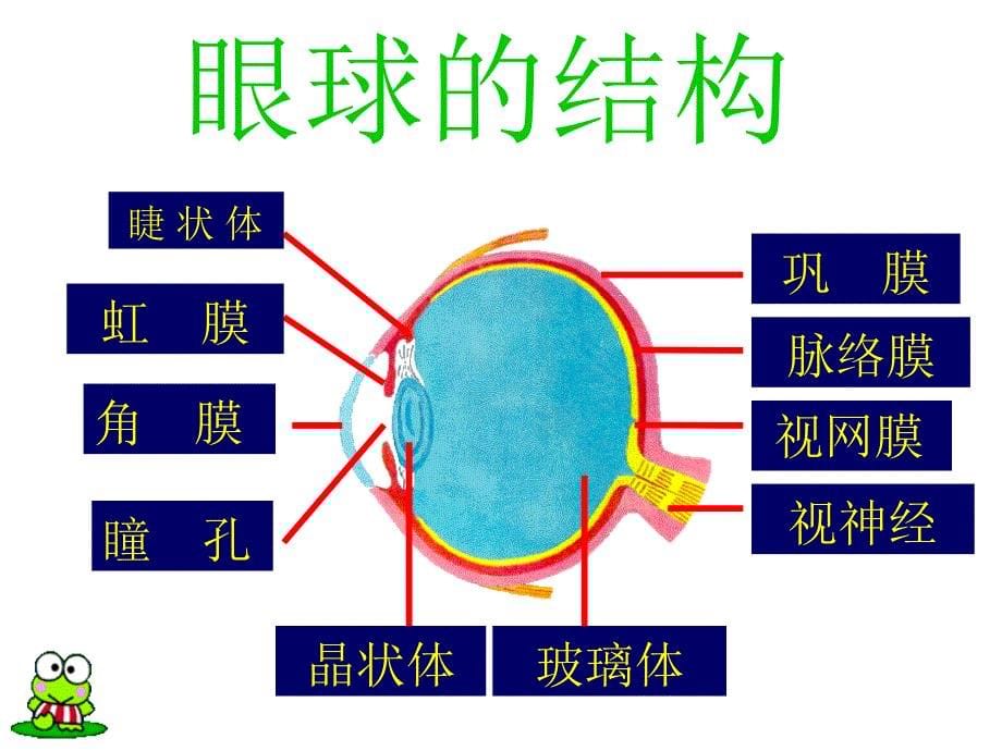 《精编》试谈人体对外界环境的感知_第5页