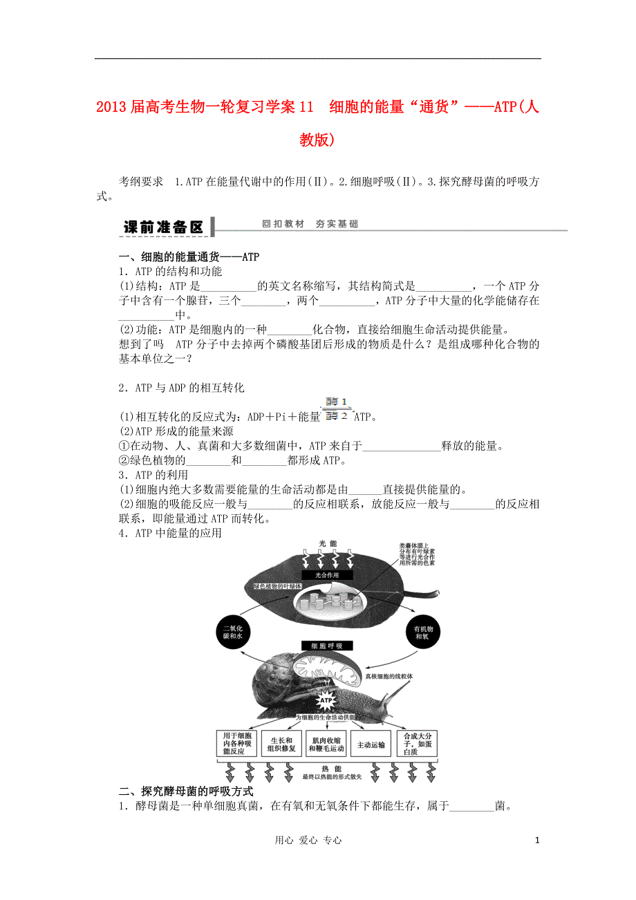 2013届高考生物一轮复习11 细胞的能量“通货”——ATP 新人教版.doc_第1页