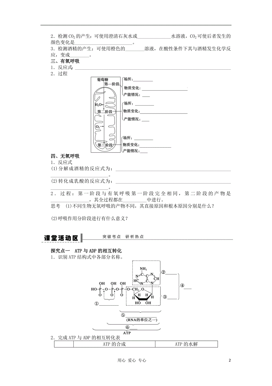 2013届高考生物一轮复习11 细胞的能量“通货”——ATP 新人教版.doc_第2页