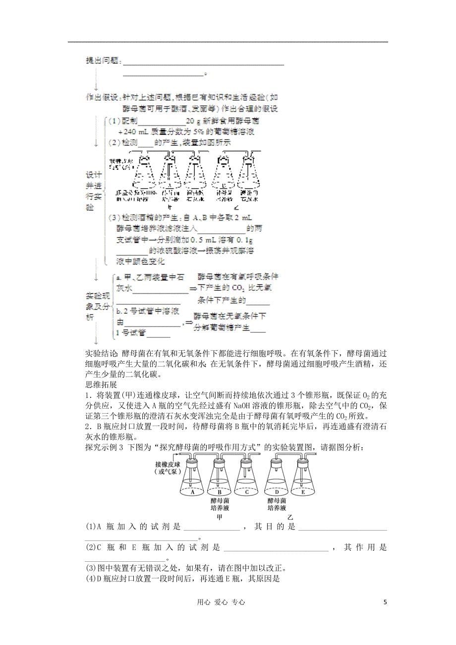 2013届高考生物一轮复习11 细胞的能量“通货”——ATP 新人教版.doc_第5页