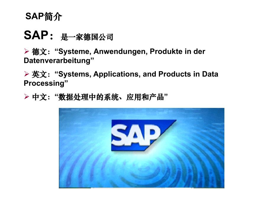 《精编》财务管理层培训材料之SAP_第3页