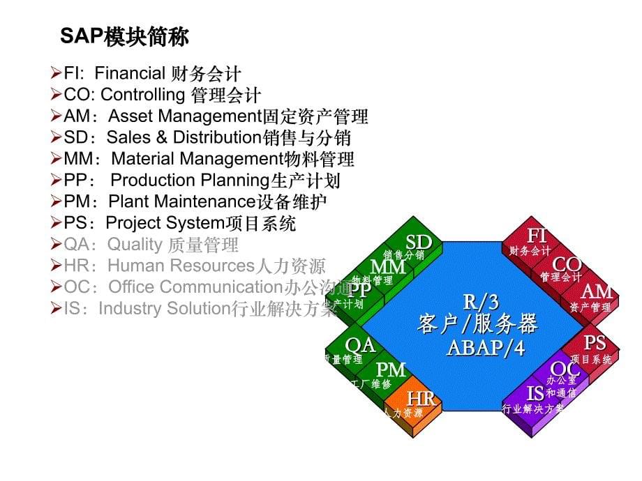 《精编》财务管理层培训材料之SAP_第5页