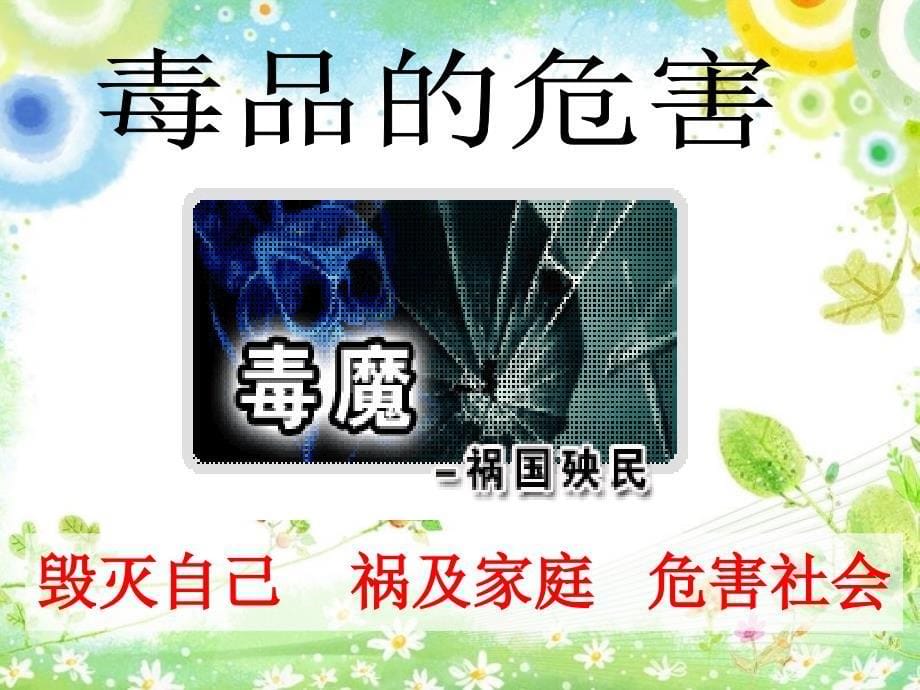 禁毒教育主题班会《珍爱生命-远离毒品-》课件教学内容_第5页