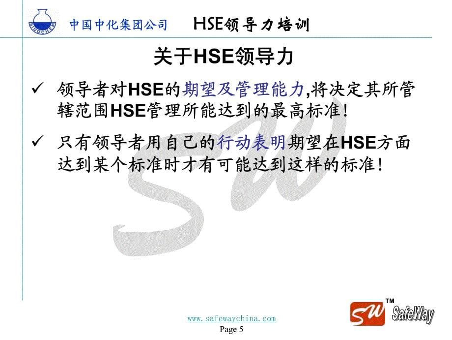 第五节：发挥HSE领导力(2小时)_第5页