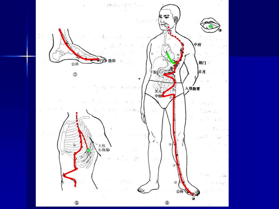足太阴脾经与腧穴及心经PPT课件_第2页