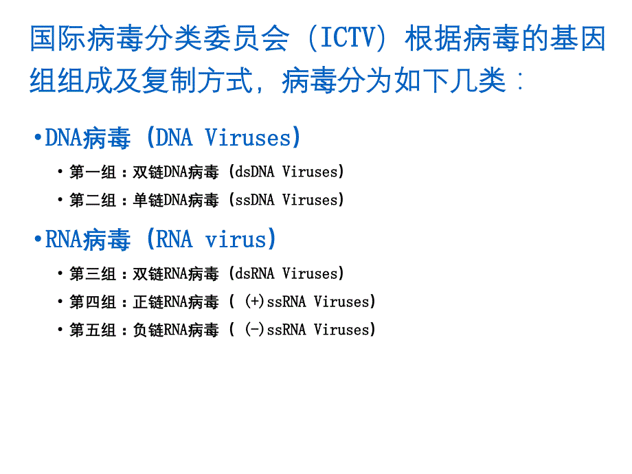 第四章 病毒基因组（五月二十六）.ppt_第4页