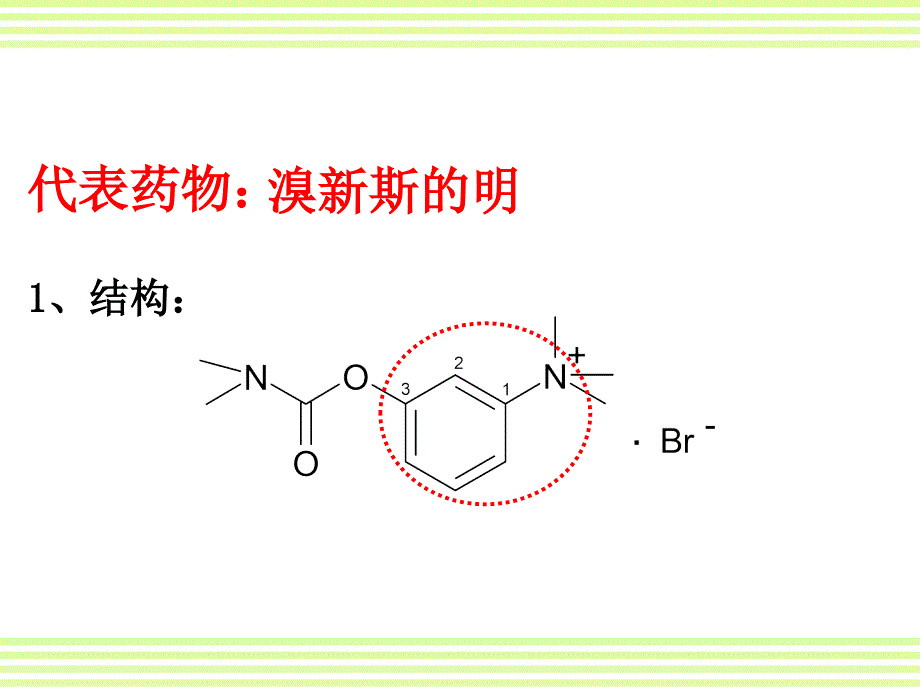 第三章-外周神经系统药物-PPT课件_第2页