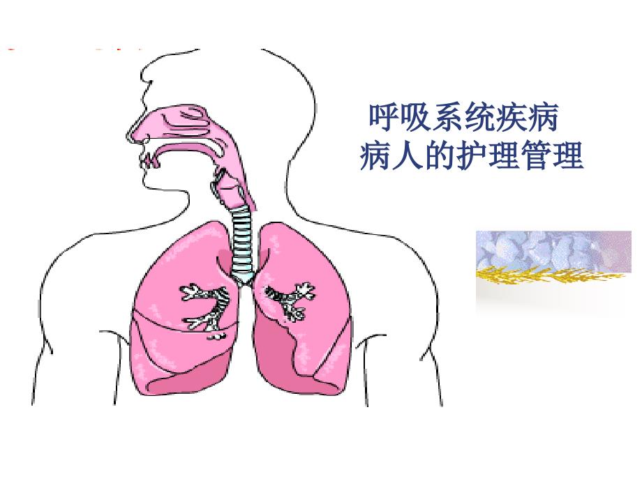 呼吸道疾病护理管理讲课用PPT课件_第1页