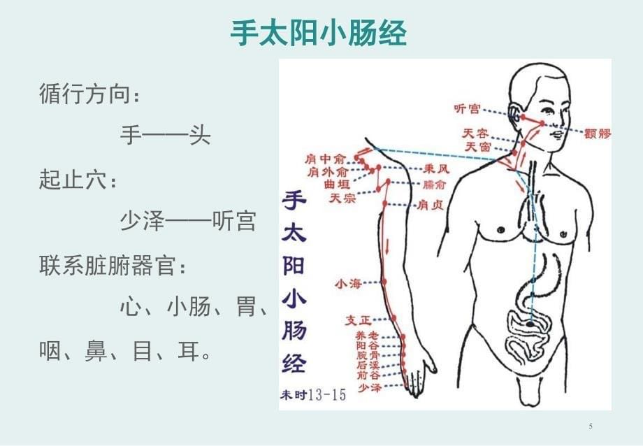 中医经络之——手太阳小肠经PPT课件_第5页